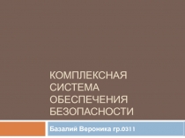 К омплексная система обеспечения безопасности