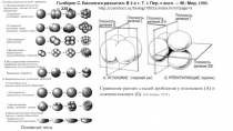 Основные типы дробления
Гилберт С.  Биология развития: В 3-х т. Т. I: Пер. с