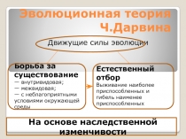 Эволюционная теория Ч.Дарвина