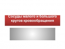 Сосуды малого и большого кругов кровообращения Со