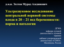 д.м.н. Эсетов Мурад Азединович Ультразвуковое исследование центральной нервной