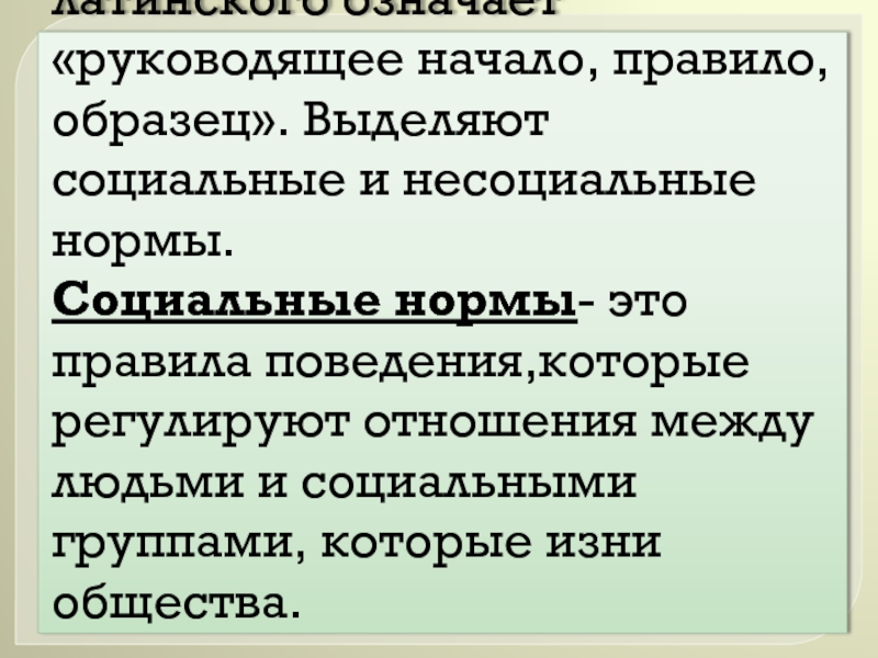 Руководящее начало требование образец