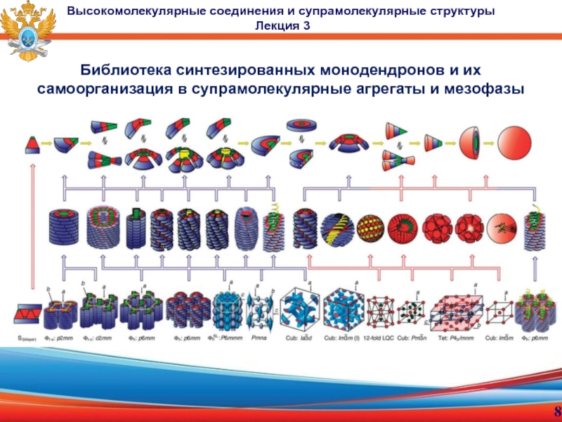 доцент, к.х.н. Малахова Юлия Николаевна
Лекция 3
Высокомолекулярные Библиотека синтезированных монодендронов и их самоорганизация в супрамолекулярные агрегаты и мезофазыВысокомолекулярные Библиотека синтезированных монодендронов и их самоорганизация в супрамолекулярные агрегаты и мезофазыВысокомолекулярные соединения и супрамолекулярные структуры Лекция 3
