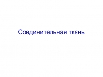 Соединительная ткань