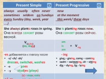 Present Simple
Present Progressive
always usually often never
sometimes seldom
