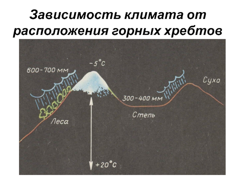 Зависимость климата от течений. Зависимость размера ушей от климата.