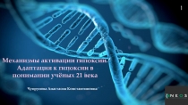 Механизмы активации гипоксии. Адаптация к гипоксии в понимании учёных 21