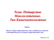 Пименов А.В.
Тема: Подцарство Многоклеточные. Тип