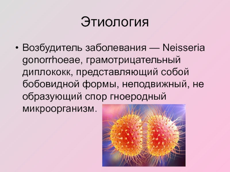 Гонорея презентация по обж