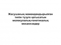 Жасушаның мамандандырылған типін түзуге қатысатын молекулалық-генетикалық