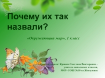 Почему их так назвали?
Окружающий мир, 1 класс
Урок составила: Кривич