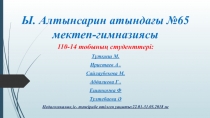 Ы. Алтынсарин атындағы №65 мектеп-гимназиясы