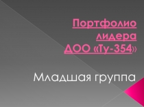 Портфолио лидера ДОО Ту-354