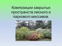 Композиции закрытых пространств лесного и паркового массивов