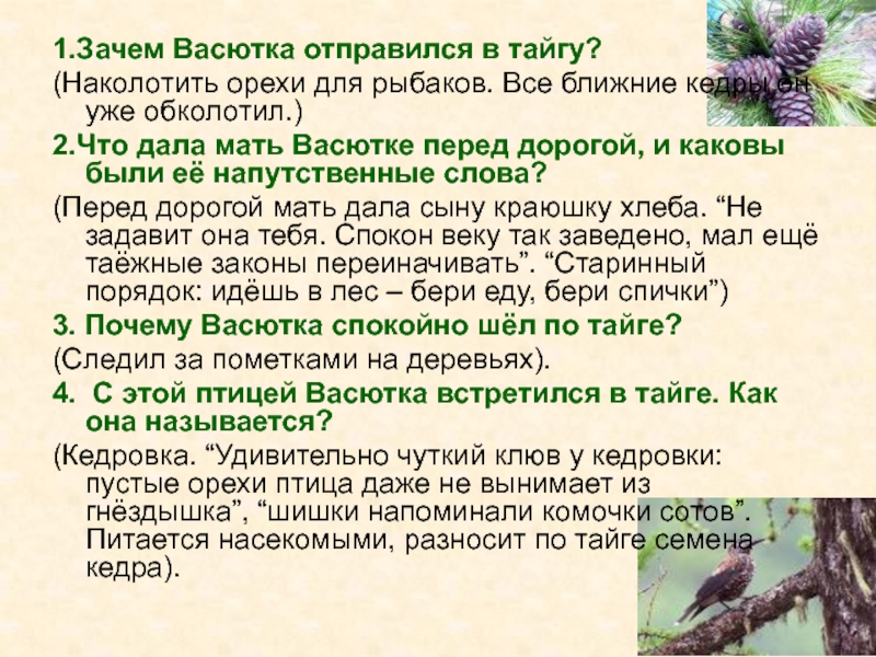 Сочинение по плану как васютка выжил в тайге 5 класс по плану