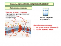 Глава 4. МЕТАБОЛИЗМ ИСТОЧНИКОВ ЭНЕРГИИ
Метаболизм углеводов
Расход глюкозы
в