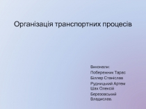 Організація транспортних процесів