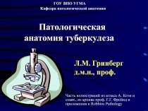Л.М. Гринберг
д.м.н., проф.
ГОУ ВПО УГМА Кафедра патологической анатомии
Часть