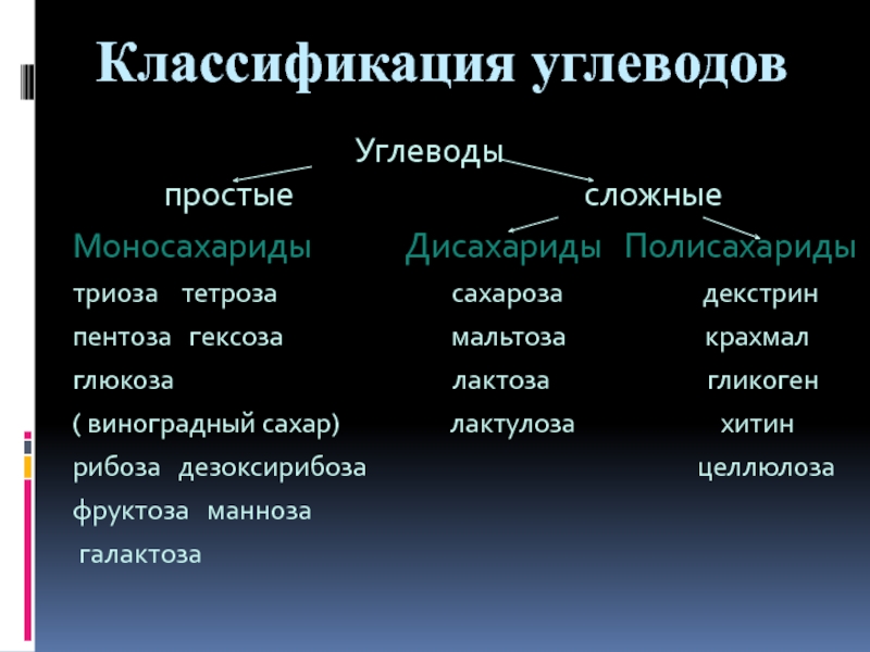 Углеводы презентация 9 класс по биологии