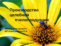 Инициатор проекта
ИП Александров П.А.
г.Нерюнгри -2014г.
Производство