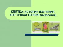 КЛЕТКА : ИСТОРИЯ ИЗУЧЕНИЯ. КЛЕТОЧНАЯ ТЕОРИЯ (цитология)