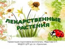 П резентацию подготовила воспитатель : Федотова О.П. МАДОУ ЦРР д /с-14