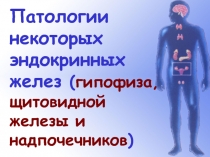 Патологии некоторых эндокринных желез ( гипофиза, щитовидной железы и