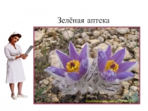 Зелёная аптека
