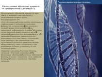 Наследственные заболевания человека и их предупреждение(А.Досанов,9 Г)