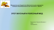 Муниципальное бюджетное образовательное учреждение Средняя общеобразовательная