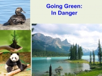 Going Green: In Danger