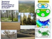 Экология
Лекция 8.
Биогеоценоз и экосистема ( 2