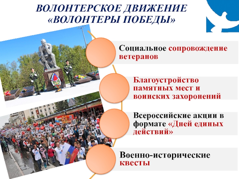 Теория и практика волонтерского движения презентация