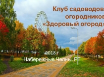 2018 г
Набережные Челны, РТ
Клуб садоводов-огородников Здоровый огород