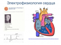 http://www.bostonscientific.com/templatedata/imports/HTML/CRM/heart/index.html
Э