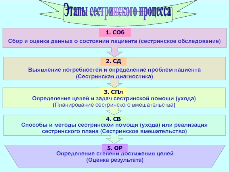 Функциональные состояния сестринское дело