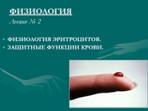 ФИЗИОЛОГИЯ
Лекция № 2
ФИЗИОЛОГИЯ ЭРИТРОЦИТОВ.
ЗАЩИТНЫЕ ФУНКЦИИ КРОВИ