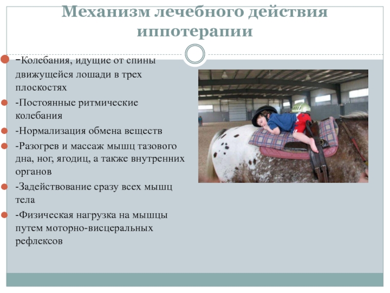 Министерство Здравоохранения Российской Федерации Федеральное государственное Механизм лечебного действия иппотерапии-Колебания, идущие от спины движущейся лошади в трех Механизм лечебного действия иппотерапии-Колебания, идущие от спины движущейся лошади в трех плоскостях-Постоянные ритмические колебания-Нормализация обмена веществ-Разогрев и