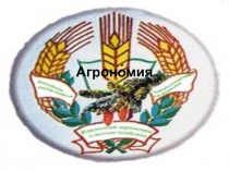 Агроно́мия