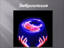 Эмбриология