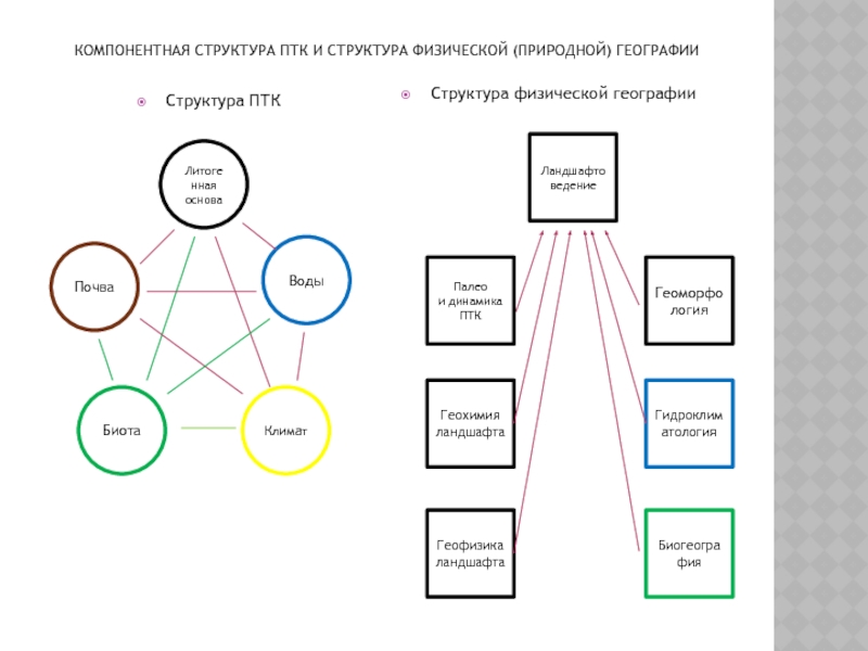 Птк это в географии. ПТК природный территориальный комплекс иерархия. Строение природно территориального комплекса. Структура природного комплекса. Структура ПТК география.