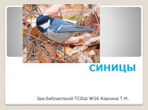 СИНИЦЫ
Зав.библиотекой ТСОШ №26 Коркина Т.М