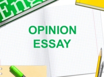 OPINION ESSAY