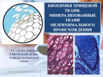 Ассистент Демьяненко Е.В.
ГУ ЛГМУ ИМЕНИ СВЯТИТЕЛЯ ЛУКИ Кафедра медицинской