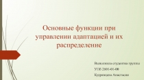 Основные функции при управлении адаптацией и их распределение