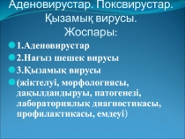 Аденовирустар. Поксвирустар. Қызамық вирусы. Жоспары:
