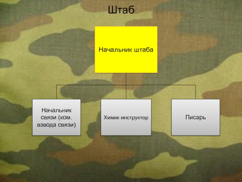 Замкомвзвода. Командир взвода связи. Начальник связи ком взвода. Кто выше начальник штаба или заместитель командира части. Стенд заместителя командира по вооружению.