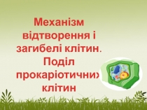 Механізм відтворення і з агибелі клітин.
Поділ прокаріотичних клітин