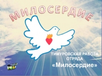 ТИМУРОВСКАЯ РАБОТА
ОТРЯДА
Милосердие