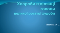 Хвороби в ділянці голови великої рогатої худоби